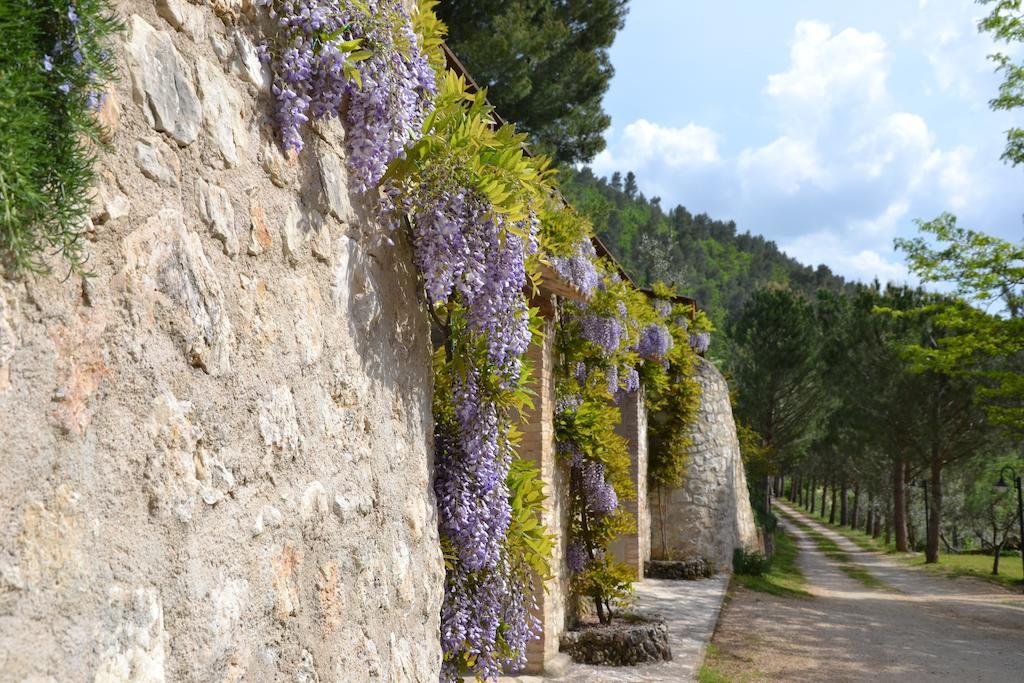 Agriturismo Istrice Innamorato Campello sul Clitunno Esterno foto