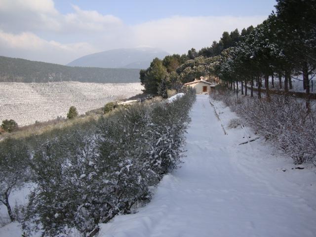 Agriturismo Istrice Innamorato Campello sul Clitunno Esterno foto